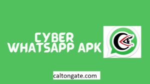 Cyber WhatsApp Apk