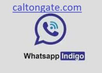 WhatsApp Indigo Apk