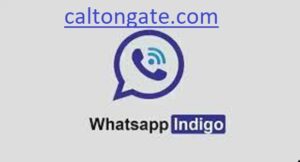 WhatsApp Indigo Apk