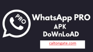 WhatsApp Pro Apk